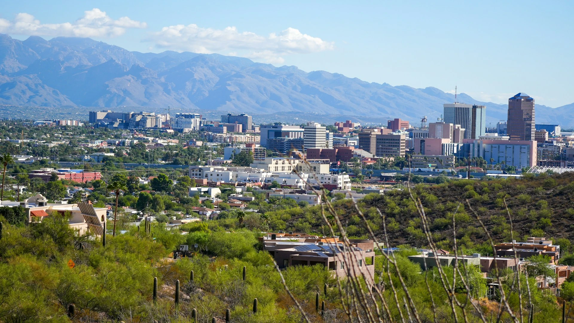 Neighborhoods to Live in Tucson Arizona