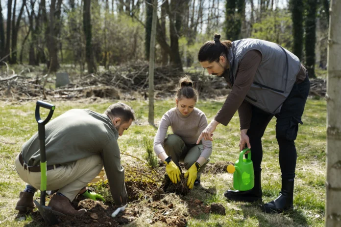 Mulching