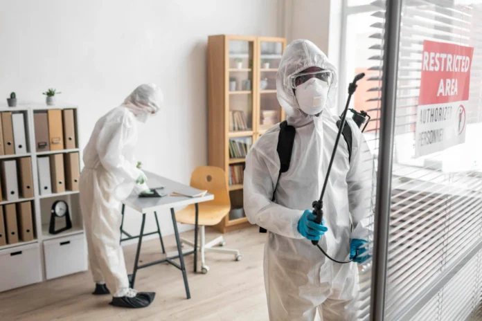 Bed bug infestation